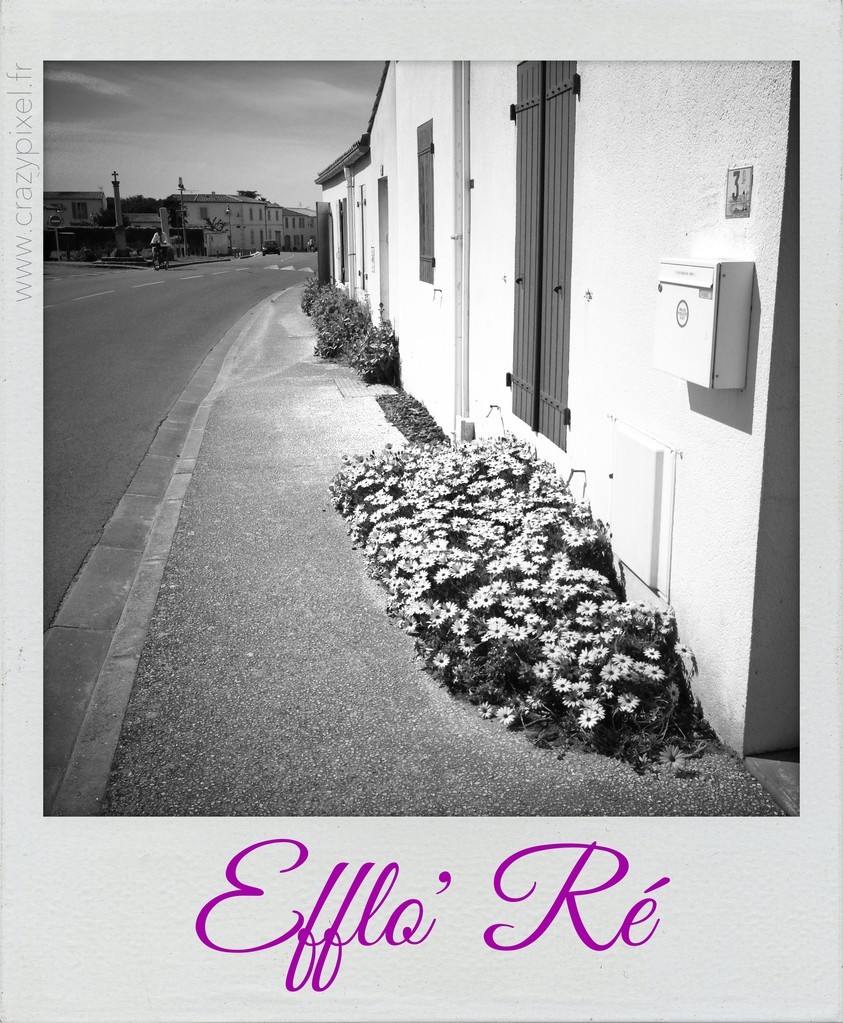 Polareid Efflo Ré ©Crazy Pixel Polareid rue de l'île de Ré