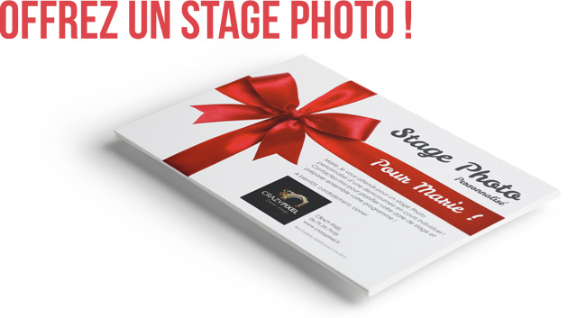 Stage Photo réflex par Crazy Pixel Offrir un stage photo en ille et vilaine